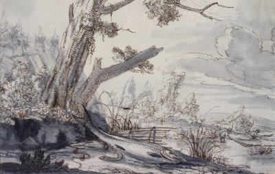 Partridges and Snipe by Francis Barlow